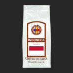 indonezia (1)